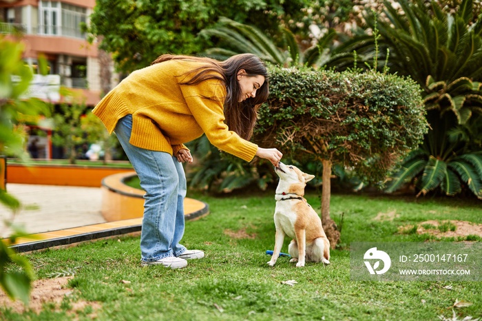 Beautiful young woman training shiba inu dog at park