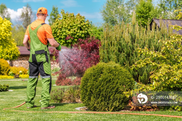 Men Watering Garden Plants