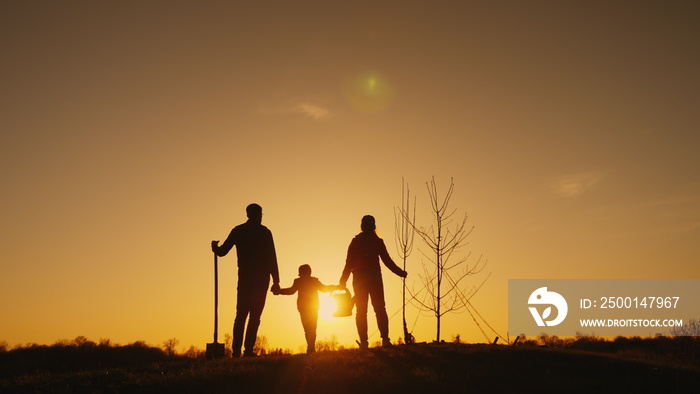 Silhouettes of a father with children holding hands while standing near a planted tree admiring the beautiful sunset, holding a shovel and a tree sapling