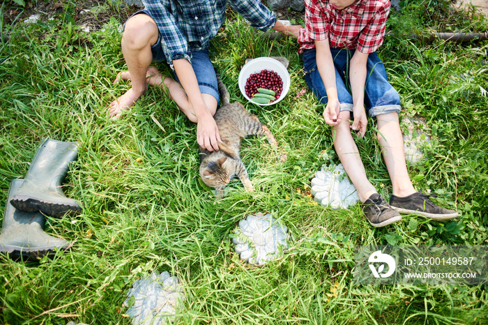 Two brothers sitting on the grass and eat cherries and caress the cat in the village