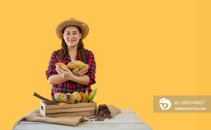 Portrait of happy farmer woman standing holding fresh cacao fruit and looking at camera with isolated on yellow background.