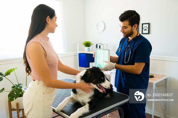 Young woman with an injured dog at the vet