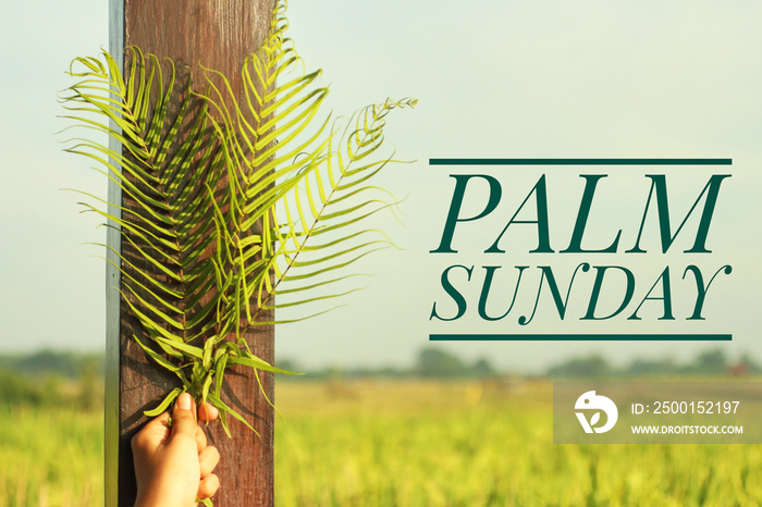 Palm Sunday concept with text. On green background with young woman holding fern or palm leaf in hand. Happy palm sunday.