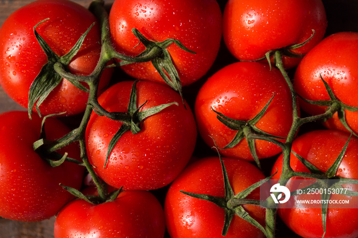 Top view of hydroponic cherry tomatoes on vine. Healthy organic food background.