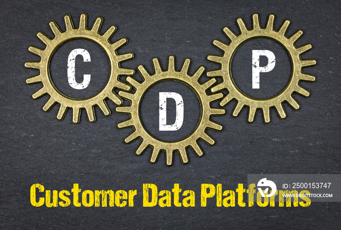 CDP Customer Data Platforms