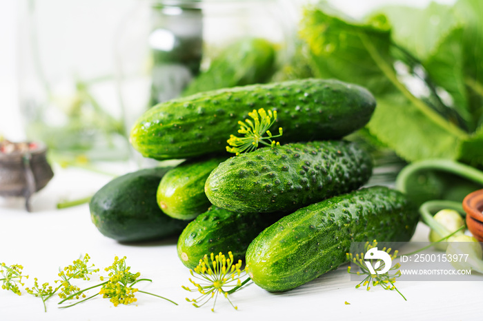 Preparation pickled marinated cucumbers, herbs and salt.