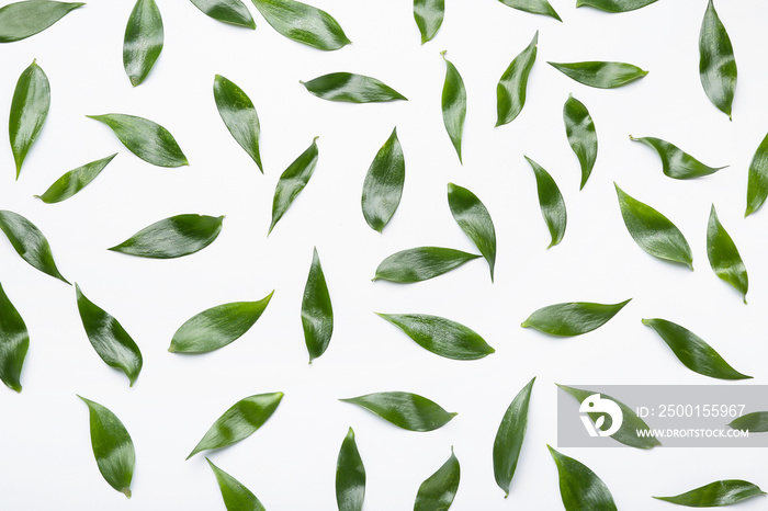 Green tea leaves on white background