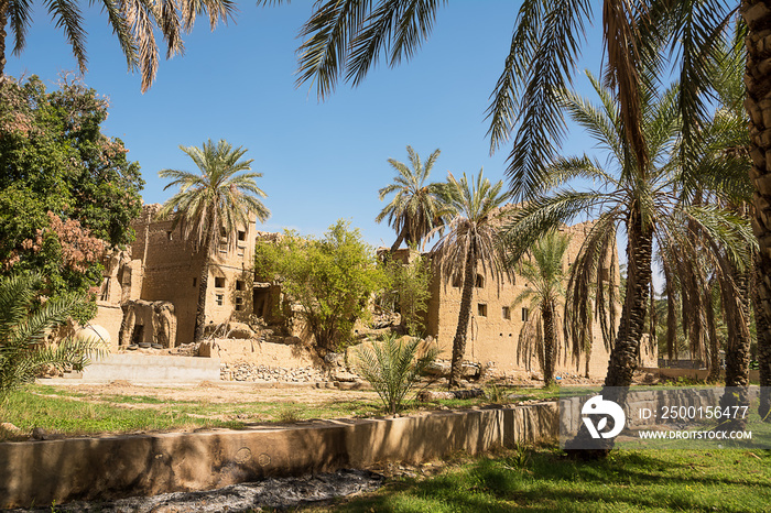 Old mud houses and palm tree in the old village of Al Hamra (Oman)