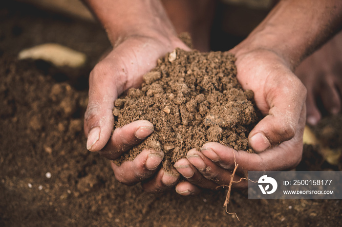 Hands holding dirt in their hands