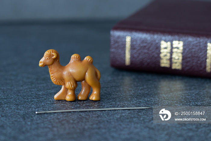 A closeup of camel miniature with needle and Christian Holy Bible in the background. A biblical concept of faith and obedience in God Jesus Christ. Eye of a needle parable