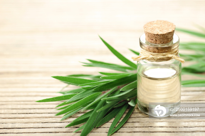 Tea tree essential oil in the galss bottle, on the wooden board