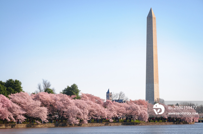 Washington Monument