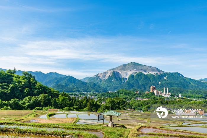 田植えの始まった棚田と武甲山　埼玉県横瀬町寺坂棚田