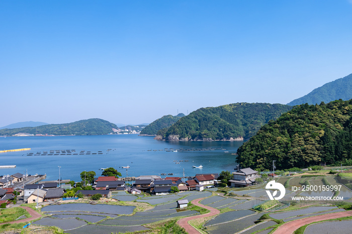 日引の棚田