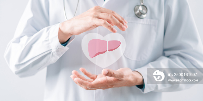 doctor in uniform hands holding liver organ virtual icon, female with hepatitis vaccination, liver cancer treatment. Health checkup concept.