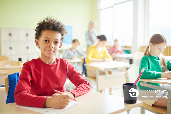 Adorable schoolboy sitting by individual workplace at lesson, looking at camera and writing exam essay