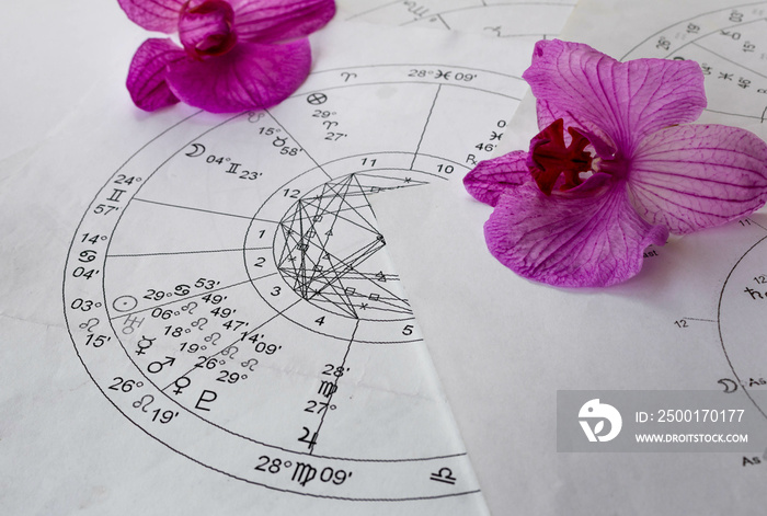 Printed natal chart with orchids in the background