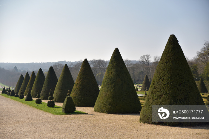 Topiaire du parc de Sceaux. France