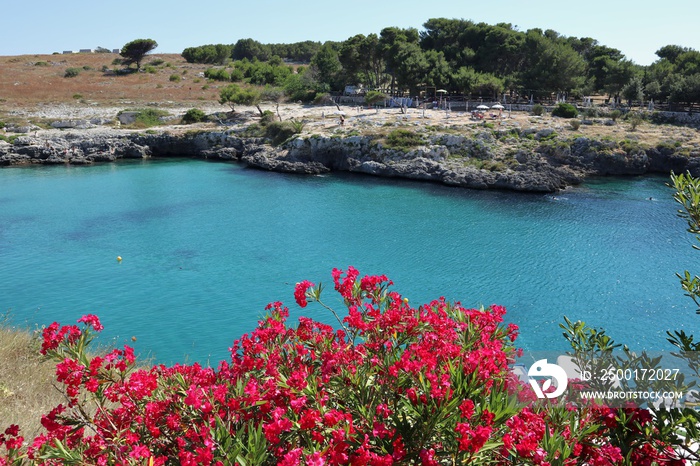 Santa Cesarea Terme - Scorcio della Baia di Porto Badisco