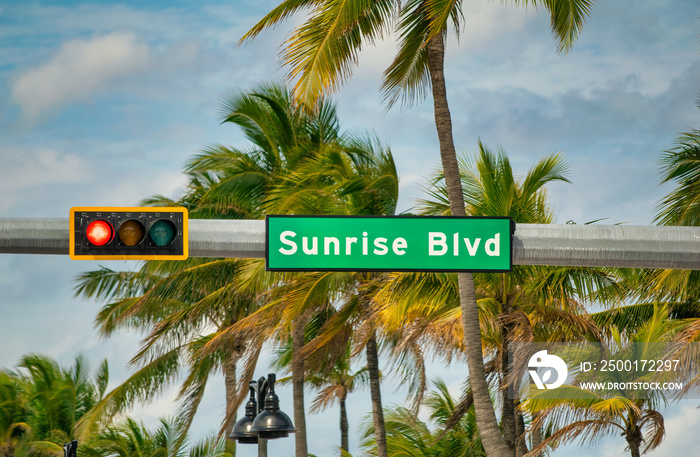 Sunrise Boulevard street sign with palm trees in Fort Lauderdale, Florida