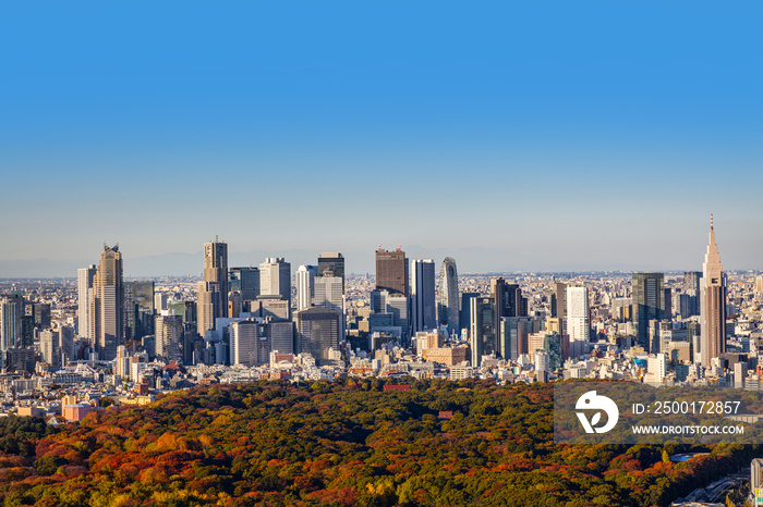 東京新宿の風景Scenery of Japan in Tokyo Shinjuku