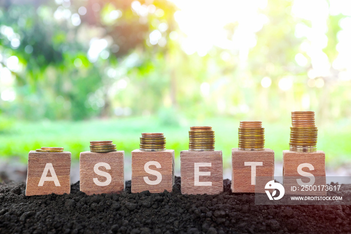 Grow and build assets and asset management concept. Hand stacking coins on wooden blocks.