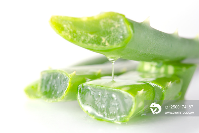 Aloe vera is a gelatinous substance obtained from a kind of aloe