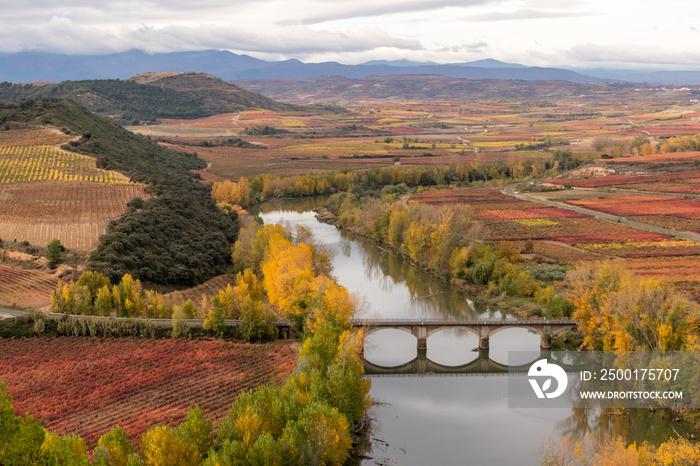 Tren sobre el Ebro