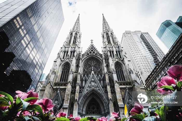 Saint Patrick catholic church manhattan new york and flowers