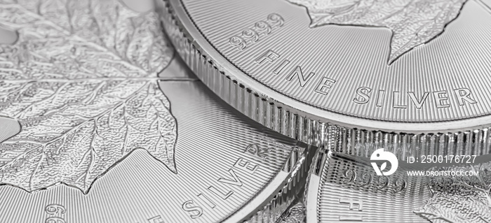 Macro Close up of a Silver Canadian Maple Leaf Bullion Coin