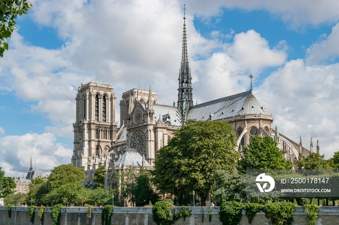 Notre-Dame de Paris cathedral on a sunny day in summer, Paris, France