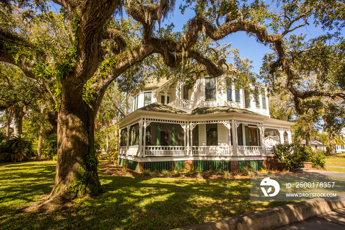 A southern mansion and a large live oak tree in Fernandina, Georgia.