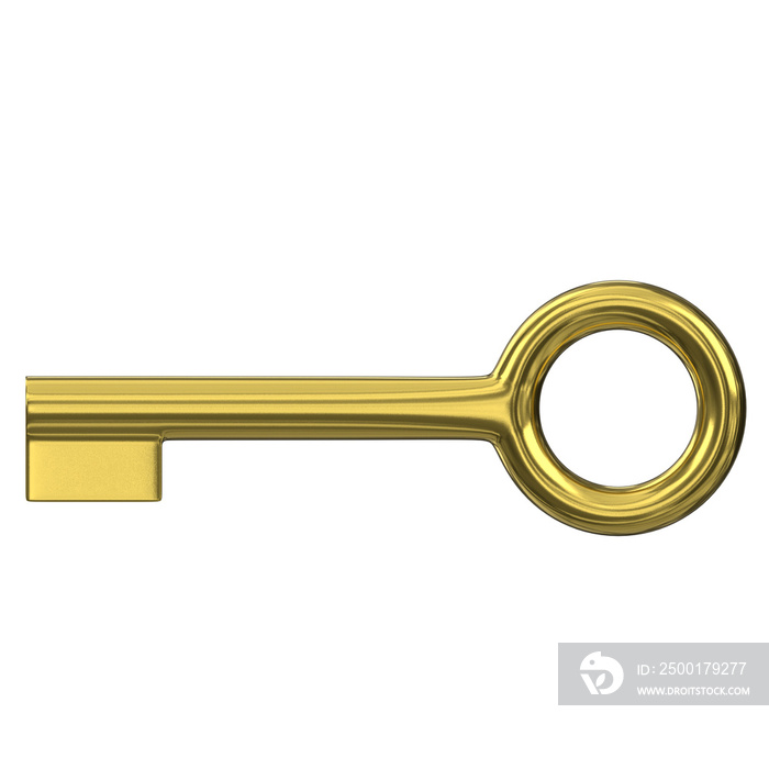 3d rendering illustration of a stylized key