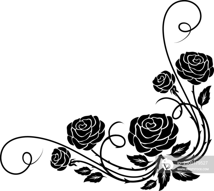 Black roses flower divider or floral border frame