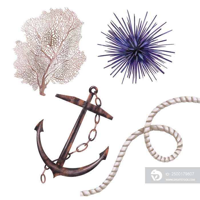 Watercolor anchor, coral, seagrass and rope with knot. Marine theme. Isolated illustration on a white background