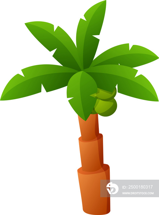 cute coconut tree cartoon