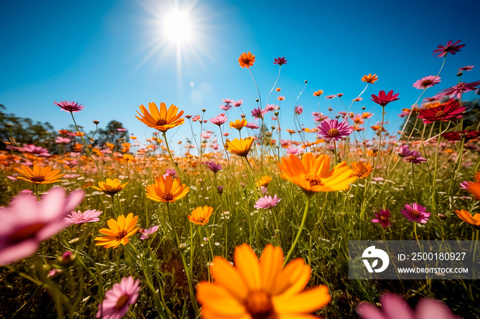 Beleza Primaveril: Lindas Flores em Plena Florada