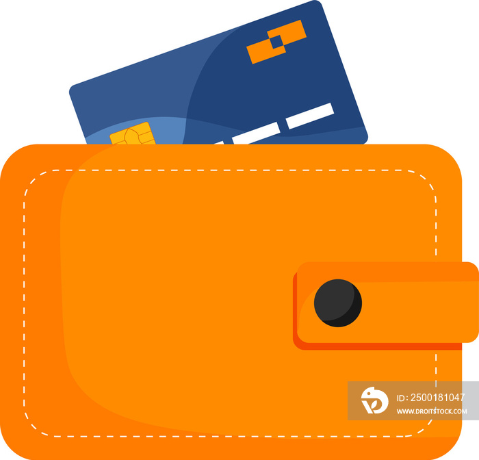 wallet with payment card illustration