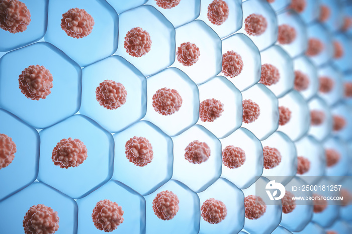 3d illustration Human skin cell, stem cell colony Structure.