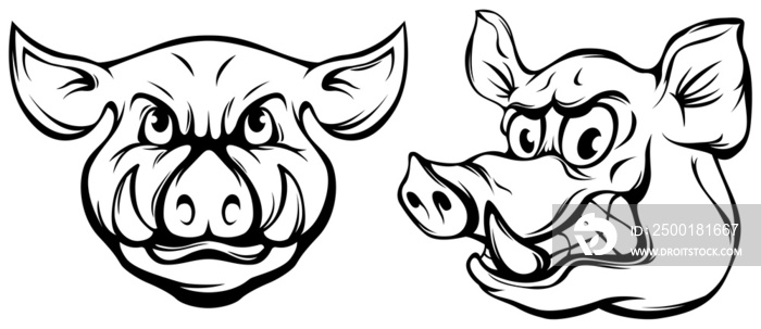 Pig head mascot. Angry swine logo. Hog png illustration