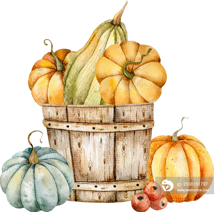 Watercolor Pumpkins Arrangement, Thanksgiving Illustration, Harvest Watercolor