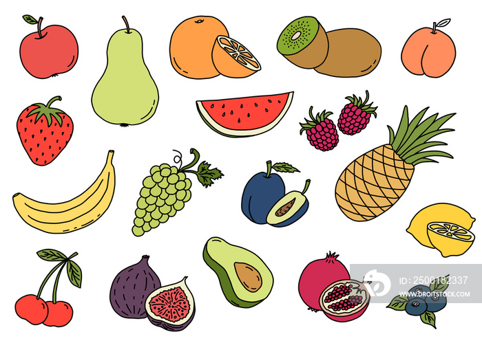 Color illustration of fruits and berries on a white background. Hand drawn individual fruit elements.