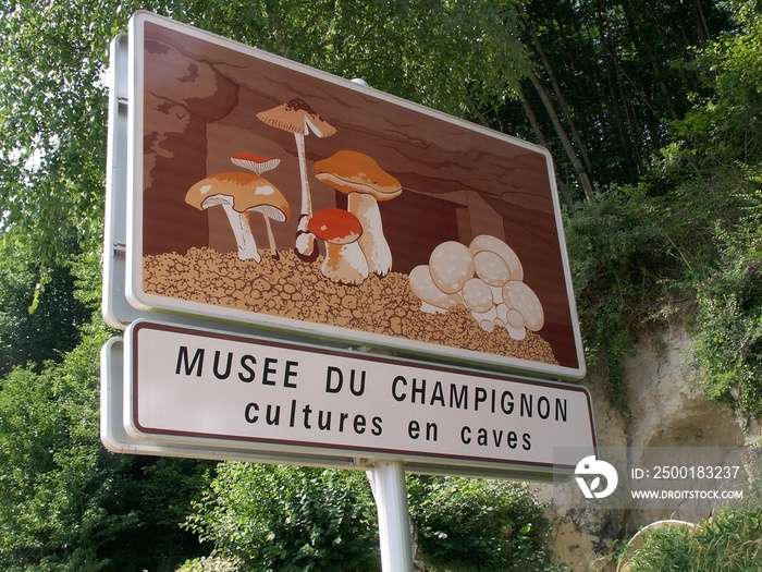 mushroom museum cave saumur loire valley france