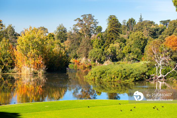 picturesque landscape in the public park - Queen Victoria Gardens, Melbourne, Australia