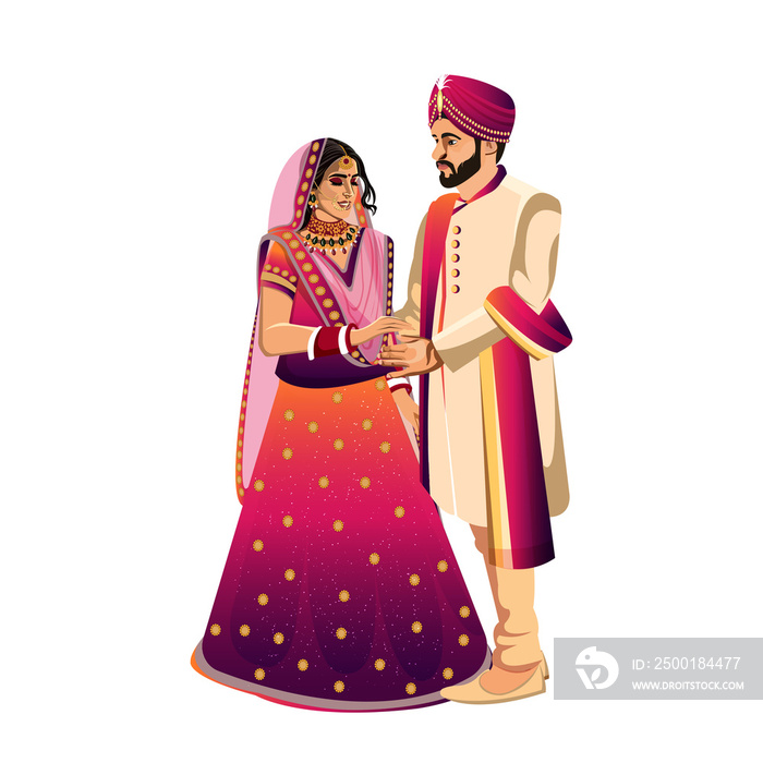 Indian wedding couple character bride and groom