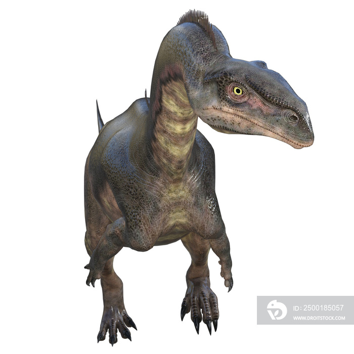 Plateosaurus dinosaur isolated 3d render