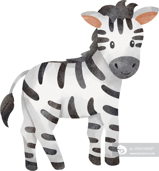 cute zebra watercolor