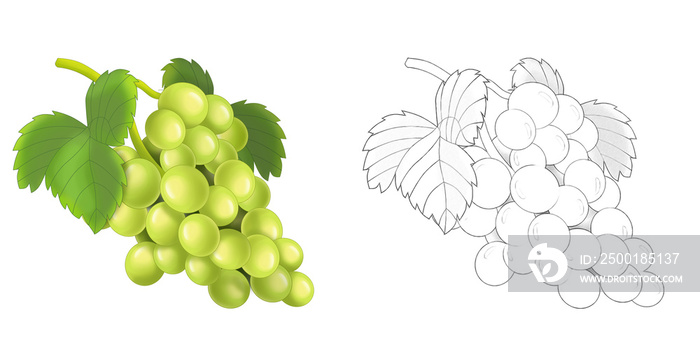 cartoon sketch scene vegetable grapes illustration