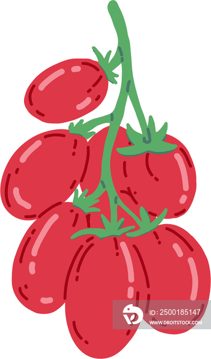 doodle freehand sketch drawing of tomato vegetable.