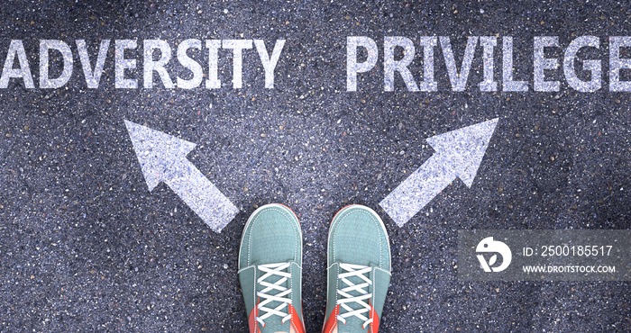 Adversity and privilege as different choices in life - pictured as words Adversity, privilege on a road to symbolize making decision and picking either one as an option, 3d illustration